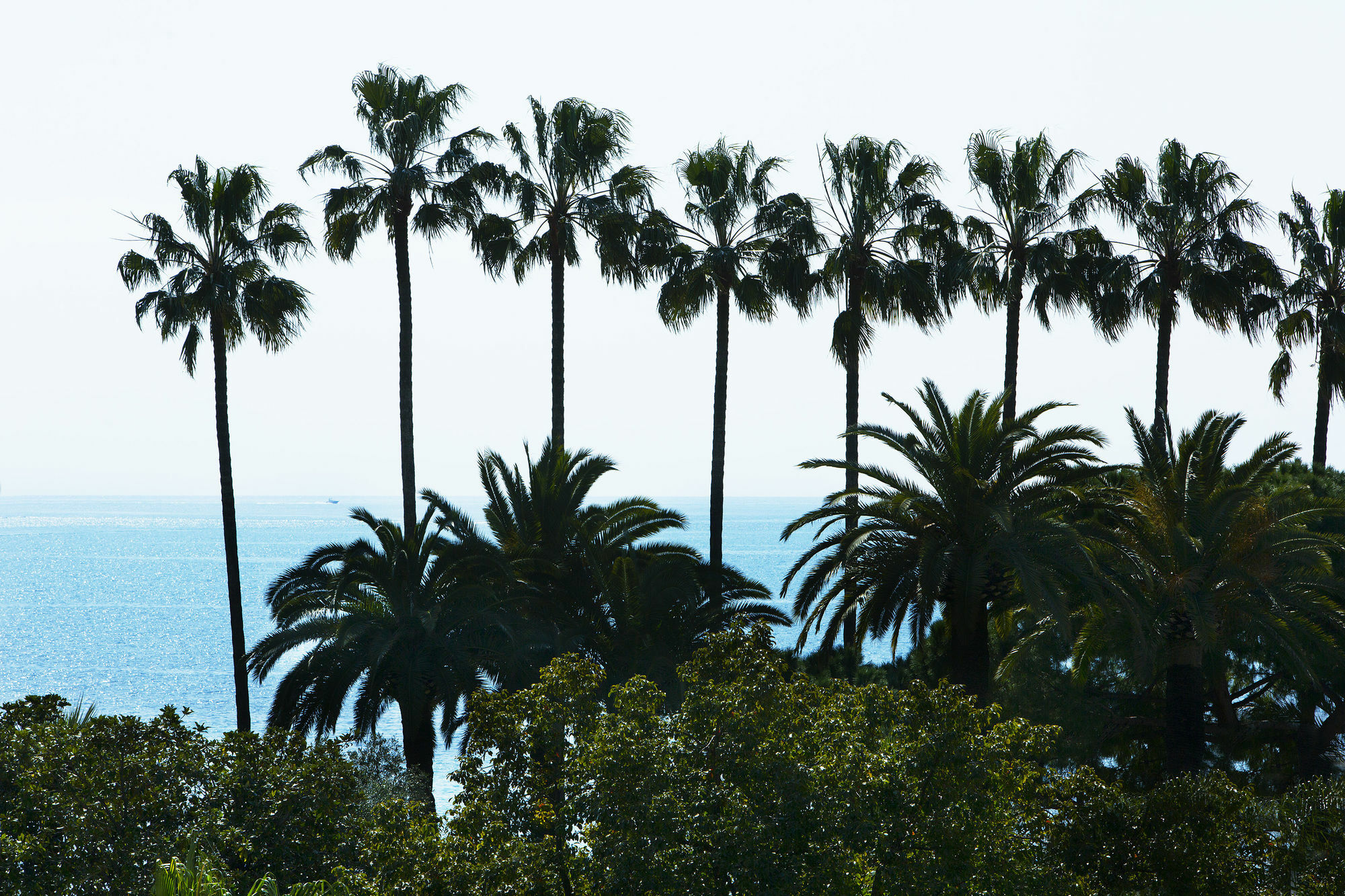 Villa D'Estelle Cannes Bagian luar foto